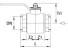 RMA Kugelhahn mit Gewinde für Gas PN 5 Typ HKSF-I-GT 1 1/2" - Wild Gebäudeeinführung