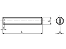Gew-Stift Schlitz+Kegelk Polyamid BN1073 M5x10 - Bossard Schrauben